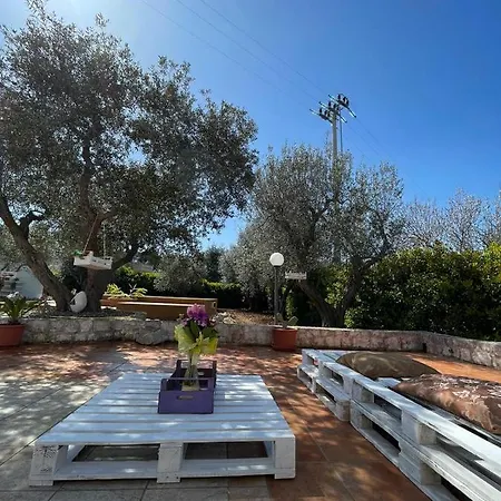 Dama * 奇斯泰尼诺