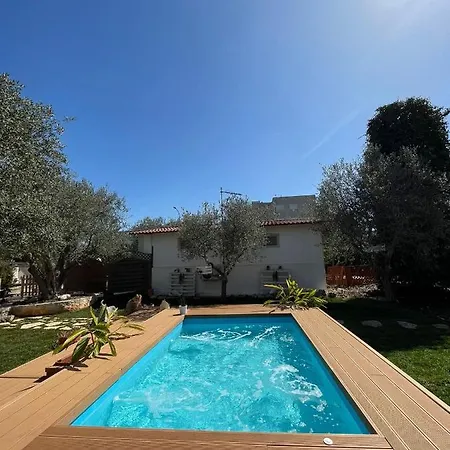 Dama * 奇斯泰尼诺