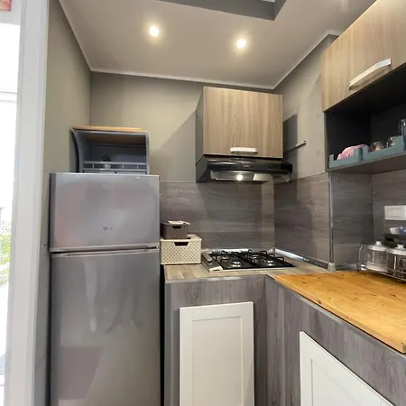 Dama 奇斯泰尼诺