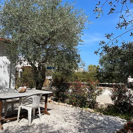 Dama 奇斯泰尼诺